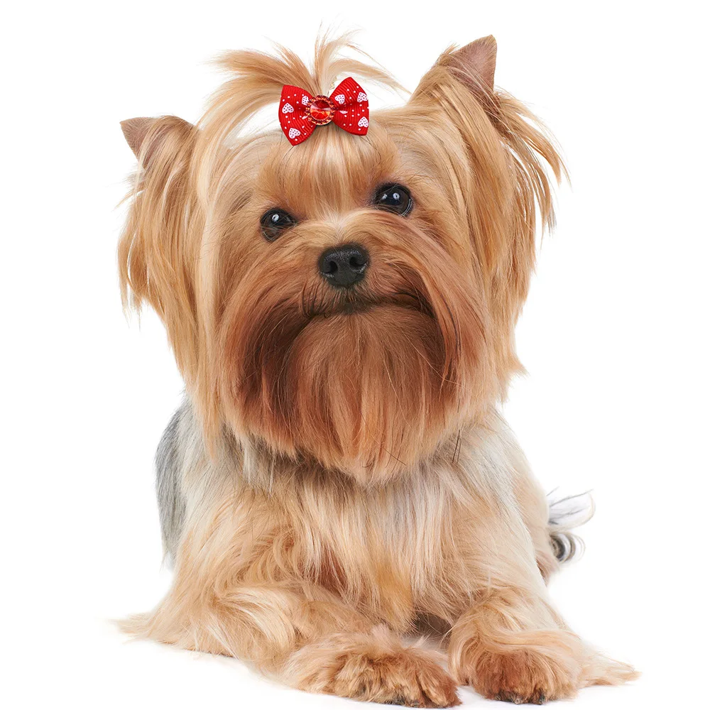10/20pcs Colorful Small Dog Bows Puppy Hair Bows Decorate Small Dog Hair Rubber Bands Pet Headflower Supplier Dog Accessories - Image 2