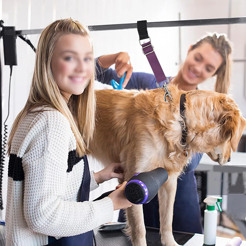 Dog Collar Pet Grooming Loops Safety Rope Leash Leads Dog Accessories Nylon Restraint Noose Solid Color Pet Supplies Adjustable - Image 20