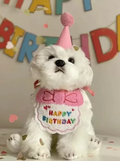Adorable Dog Cat Puppy Birthday Hat & Bandana Set Cat Dog Accessories Pet Birthday Supplies