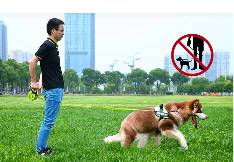 5M Luxury Pet Dog Leashes Retractable Dog Leash For Large Medium Dogs Cat Puppies Accessories Small Automatic Extension Lanyard - Image 23