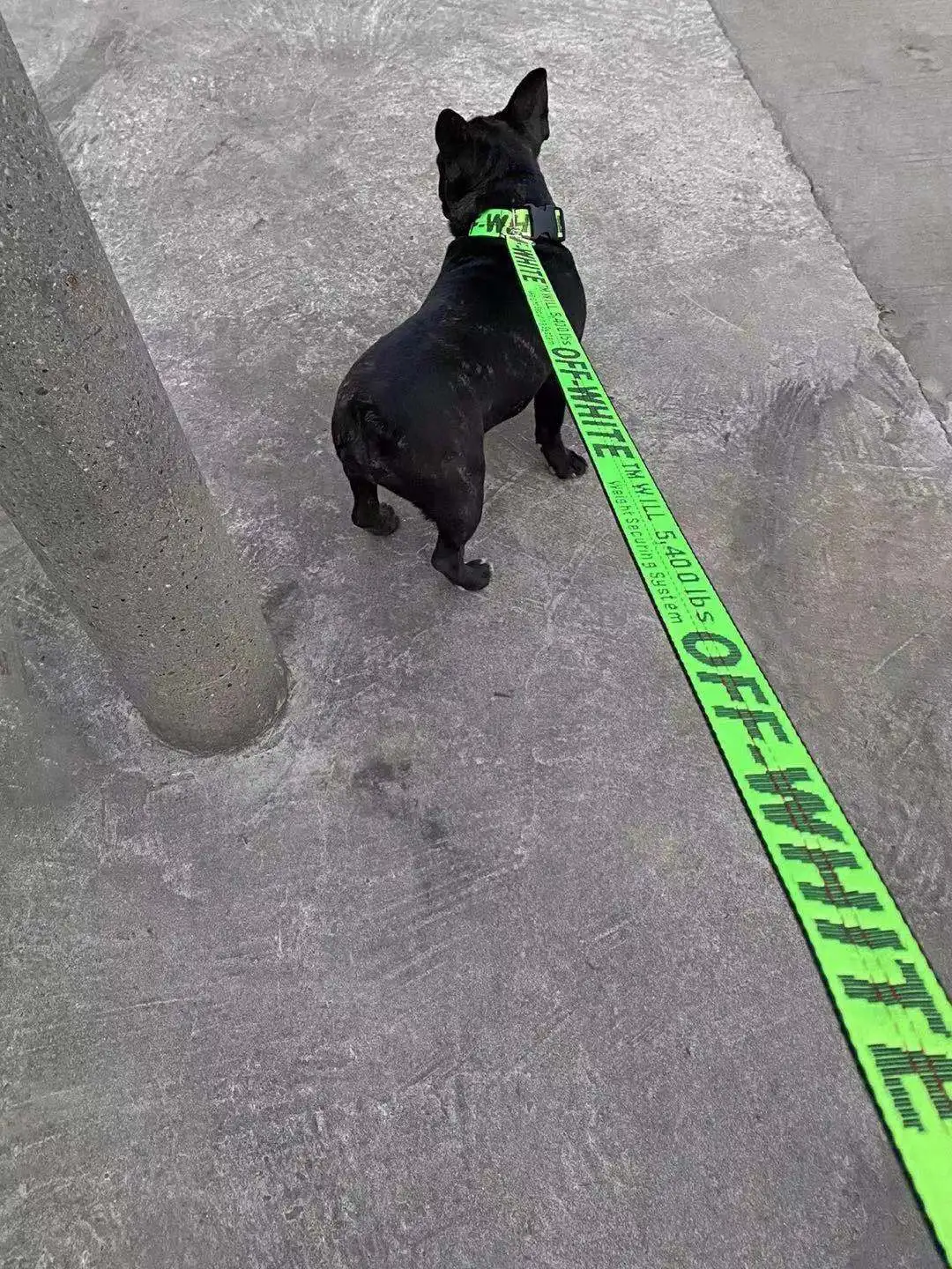 Nylon leash, used for pet dog rope, popular and fashionable pet leash, used for pet products of medium-sized dogs and large dogs - Image 10