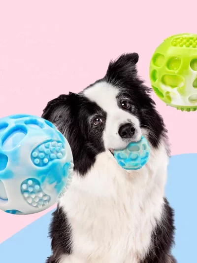 Pet dog toys are sturdy and durable, can alleviate teething discomfort, and are suitable for use during outdoor training.