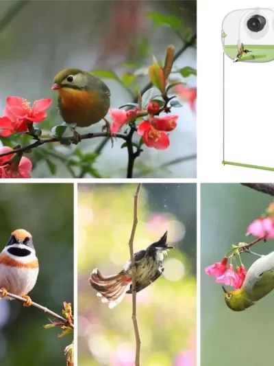 HOES-Bird Feeder And Camera With Strong Suction Cup Weatherproof Large-Capacity Food Organizer Birdwatching, Gift For Bird Lover