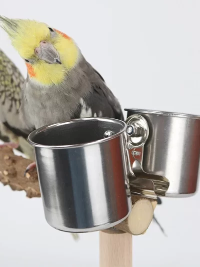 Bird Feeder Cup with Clip Stainless Steel Double Cups Parrot Feeding Food Water Bowl Bird Cage Feeder Accessories Pet Supplies