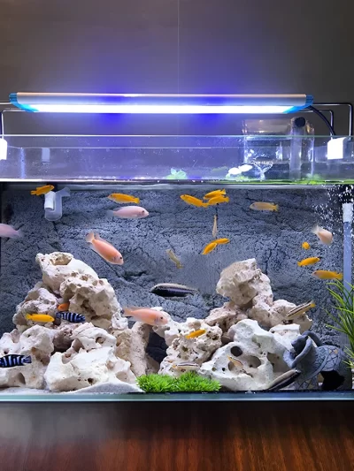 Fish Tank Transparent Glass Rectangular Aquarium Small And Medium Balcony Living Room Decoration Lazy Ecological Fish Tank