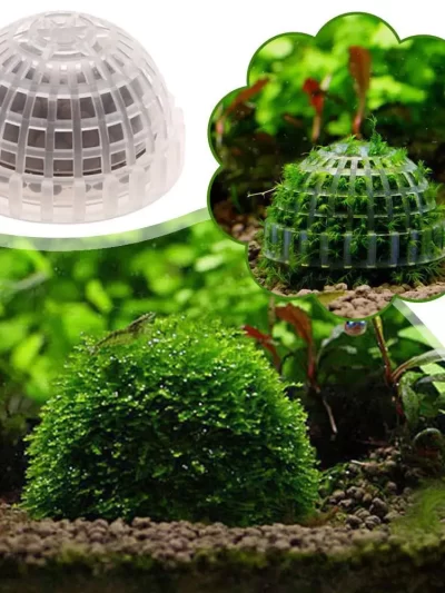 Aquarium Fish Tank Media Moss Ball Live Plant Filter Filtration Decor Home Decoration Nature Sea Plant Home Decor
