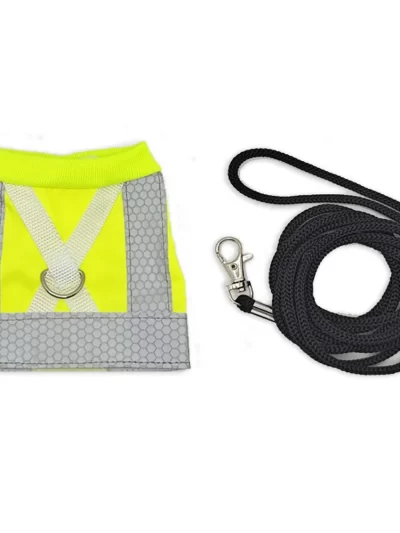 Pet Supplies Adjustable Parrot Flying Harness Safety Comfortable Reflective Leashes Sun Protection Bird Harness Vest Cockatiels