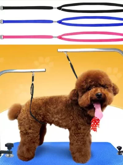 Pet Cat Harness Leash Noose Loop Lock Clip Rope For Grooming Loops Nylon Restraint Noose Pet Supplies Dog Cat Safety Rope