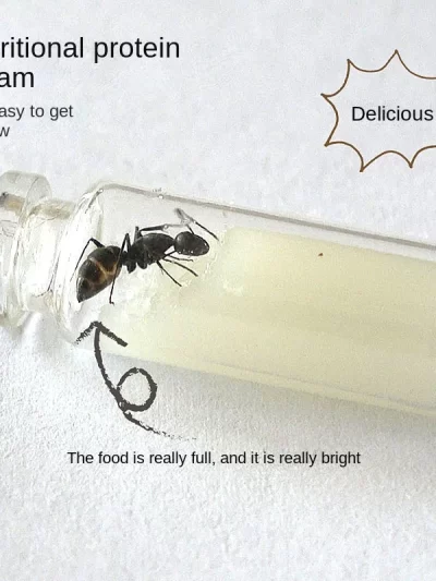 Special Food For Ant Castle Convenient And Simple Food For Ants High Nutrition Not Easy To Mold And High Protein