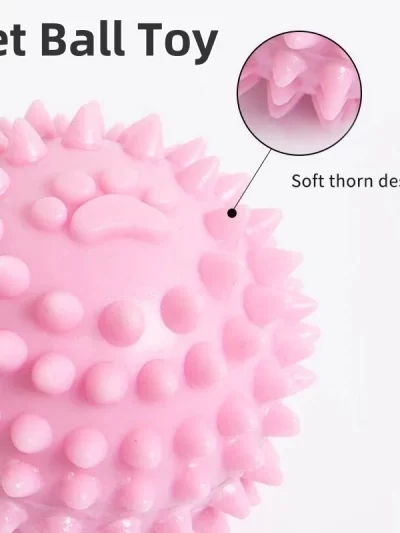 Pet Ball Toys Dog Chewing Toy Interactive Rubber Ball for Small Large Dog Cat Pet Tooth Cleaning Ball Pet Accessories