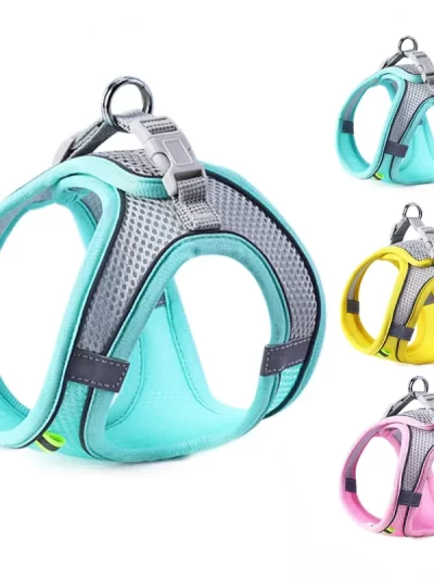 Cat Dog Harness Vest Chest Rope Set Reflective Breathable Adjustable Pet Harness for Small Medium Dogs Outdoor Walking