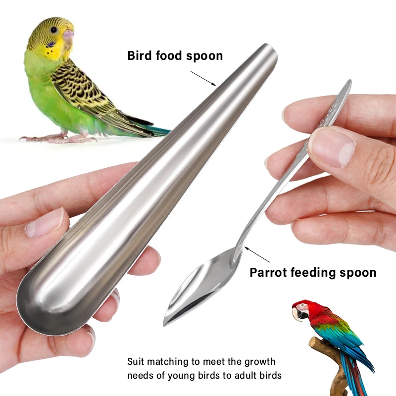 Bird Feeding Tool Pet Bird Parrot Bird Cage Stainless Steel Feeder Stainless Steel Bird Food Spoon Feeding Bird Supplies - Image 5