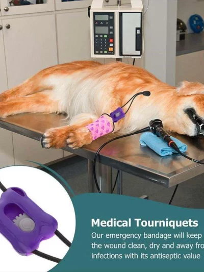 Plastic Pet Tourniquet Animal Pulse Pressure Band Animal Tourniquet Pet Supplies Safe Reliable Cat Dog Lovers