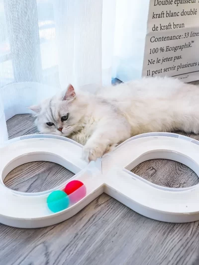 New Cat Toys Are Used To Relieve Boredom Cat Turntable Track Ball Kitten Cuddling Stick Pet Cat Consumption of Physical Products