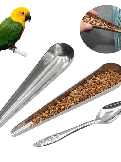Bird Feeding Tool Pet Bird Parrot Bird Cage Stainless Steel Feeder Stainless Steel Bird Food Spoon Feeding Bird Supplies