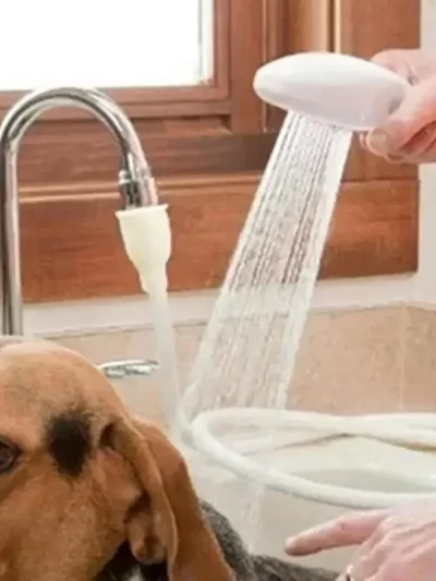 Pet Bath Sink Spray Handheld Pet Shower Head Spray Multifunctional Sink Faucet Bathroom Wash Hair Pet Bath Tube