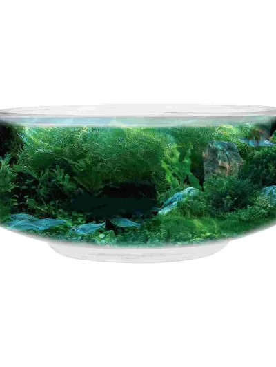 2800Ml Transparent Delicate Fish Tank Desktop Aquarium Tank Plant Decor Plastic Betta Tank Office Home Decorative Fish Container