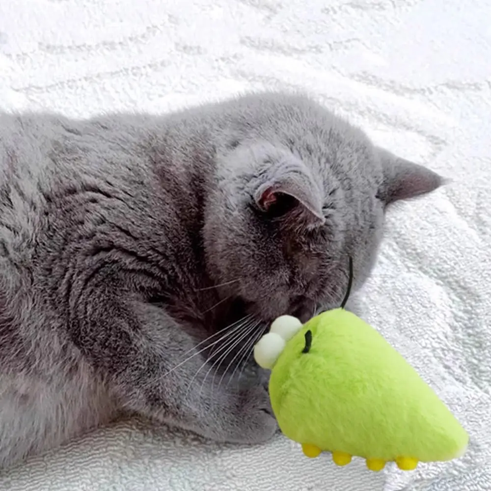 2Pcs Pet Supplies Soft Cat Worms Mint Toys Interactive Bite-Resistant Cat Sound Toys Teething Chewing Cat Plush Toys for Pets - Image 11