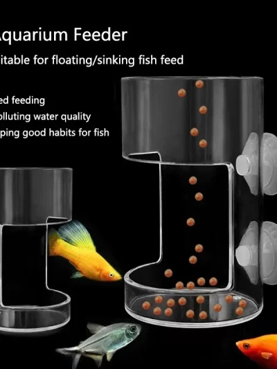 New Aquarium Feeding Ring Fish Tank Station Floating Food Tray Feeder Square Circle Aquarium Accessory with Suction Cup