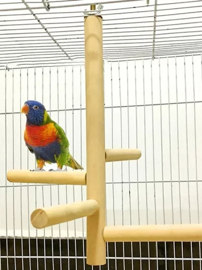 Pet Parrot Bird 4 Layer Stages Toys Natural Wood Rotating Ladder Parakeet Cage Accessories Swing Exercise Toy Birds Accessories