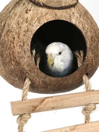 Coconut Bird Nest Hut With Ladder Hanging,Hanging Coconut Bird House Parrot Hideout Bird Cage For Lovebird Pigeons Pet Supplies