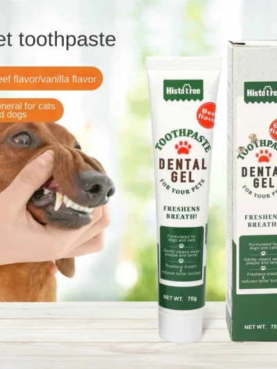 Pet toothpaste dog toothpaste dog oral cleaning products cat toothpaste beef flavored vanilla flavored dog toothpaste