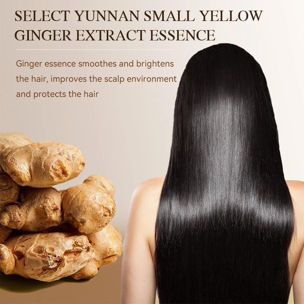 Silky Supple Shampoo Hair Oil Ginger Essence Natural Extract Smooth Mild Formula Itch Protect Moisturizes Nourishes Clears 500ml - Image 6