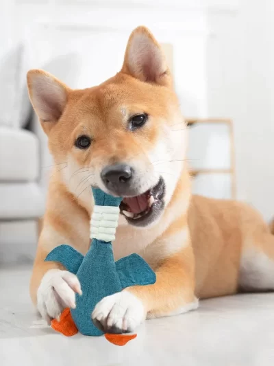 Pet Toys Geese Sound Bite Resistant Teeth Grinding Teeth Cleaning Dog Cat Pet Supplies