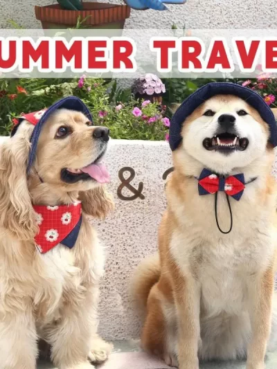 1Set Pet Summer Sun Protection Denim Bucket Hat Triangle Scarf Set Small Puppy Bow Tie Decoration Raiment Pet Accessories