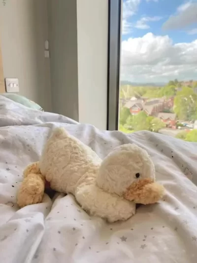 Duck Toys Interactive Soft Plush Animal Doll Cat Dog Pet Similar Gift Girl Birthday Christmas