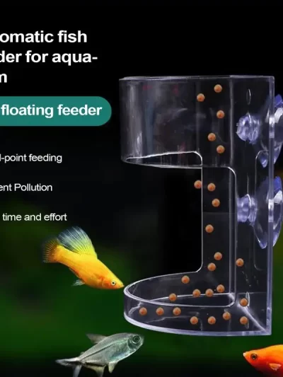 Transparent Aquarium Feeder Dish Fixed-Point Plastic Floating/Sinking Fish Food Tray with Suction Cup Design Feeding Supplies