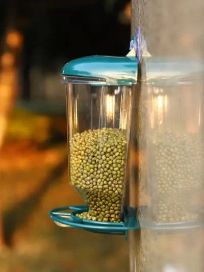 Plastic Bird Feeder Large Capacity Convenient Bird Hanging Food Dispenser with Suction Cup Transparent Bird Water Bowl Garden