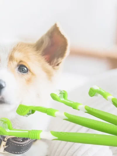 Pet Toothbrush Dog Cleaning Mouth Toothbrush Three Sided Multiangle Cleaning Tartar Teeth Health Care Tool Pet Supplies