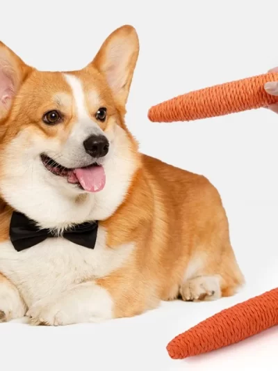 Dog Toys Cute Carrots Toys for Dogs Teeth Cleaning Self-hi Interactive Dog Toy Kitten Toy Grinding Sisal Cat Sticks Pet Supplies