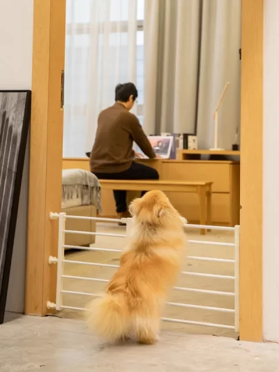 Household pet isolation gate, anti-blocking cat and dog door fence, pet gate barrier, small/medium/large dog indoor guard rail f