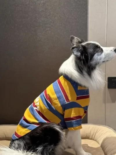 Pet Supplies Large Size Dog Stripes Vest Soft Breathable Dog Short Sleeve Fashion Cool Dog Clothes Cosplay Party