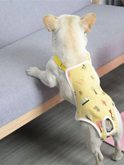 Pet Physiological Pants Underwear Dog Clothes Puppy Diaper Strap Briefs Adjustable Comfy Sanitary Panties Shorts Pet Supplies