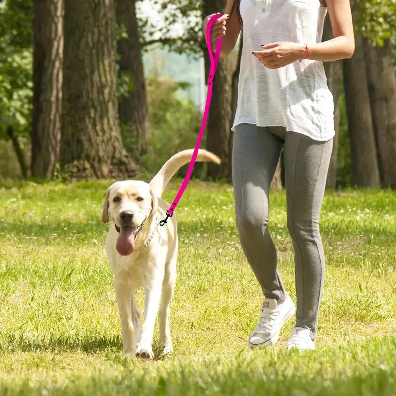 Pet Dog Leash PVC Waterproof Dog Leashes Easy Clean Walk Training Durable Dog Leash For Large Medium Small Dogs - Image 12