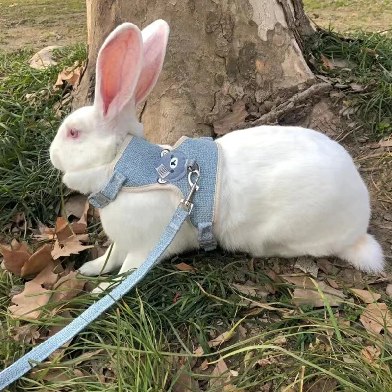 Newest Cute Rabbit Harness and Leash Set Bunny Pet Accessories Vest Harnesses Rabbit Leashes for Outdoor Walking Pets Supplies - Image 14
