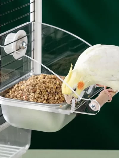 Acrylic Cage Mounted Bird Feeder Large Capacity Anti-spread Bird Food Dispenser Hangable Anti Splashing Parrots Food Container