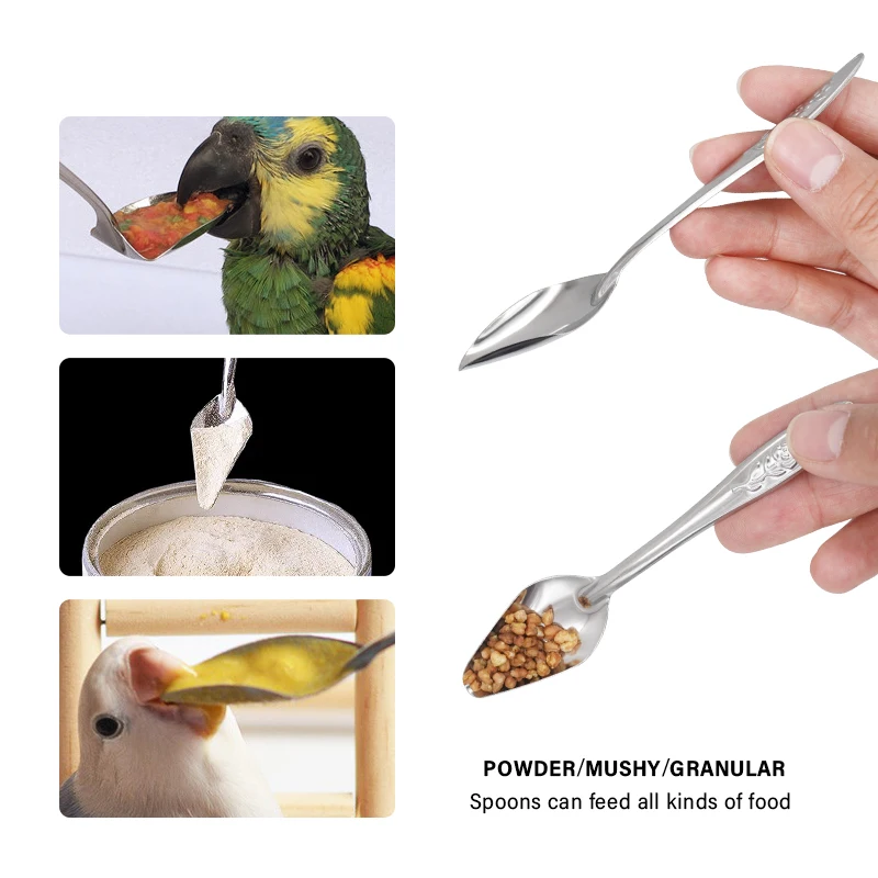 Bird Feeding Tool Pet Bird Parrot Bird Cage Stainless Steel Feeder Stainless Steel Bird Food Spoon Feeding Bird Supplies - Image 4