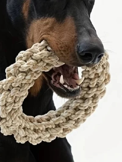 Pet Dog Rope Toys Durable Chew Bite Resistant Game Pet Toys For Medium Large Dogs Golden Retriever Pitbull Labrador Supplies