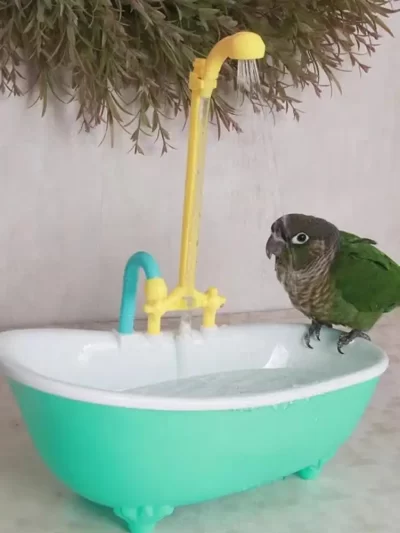 Parrot Automatic IntelligentBath Bird Shower Bathtub Supplies Blue Cute Plastic Cage AccessoriesHousehold Accessory Bird Bath