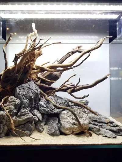 Natural Wooden Fish Tank Decorations Plant Stem Tree Trunk Driftwood Tree Aquarium Fish Landscaping Tree Roots Ornaments
