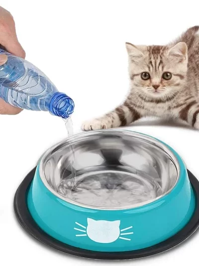 Thick Non-slip Cat Dog Food Bowl Foods Utensils Single Stainless Steel Pet Bowls For Cats And Puppies Cat Accessories