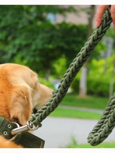 Nylon Dog Harness Leash For Medium Large Dogs Leads Pet Training Running Walking Safety Mountain Climb Dog Leashes Ropes supply