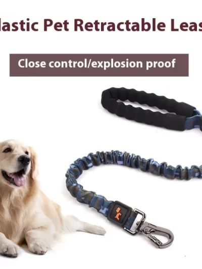 Retractable Elastic Pet Leash,reflective Dog Leash with Foam Handle & Alloy Buckle for Medium Large Pet Dog Walking and Training