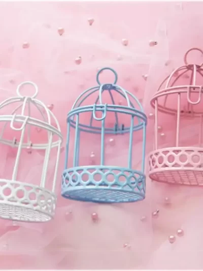 Durable Bird Cage Mini Bird Cage Portable Macaron Bird Cage Storage Box Cute Iron Craft Desk