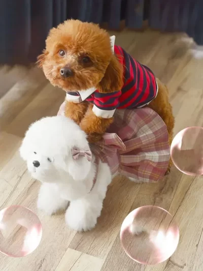 Soft Silicone Puppy Sex Toys Small Breeds Plush Toys Sensory Toys Pet Supplies Pet Dog AccessoriesTraining Aids and Behavior