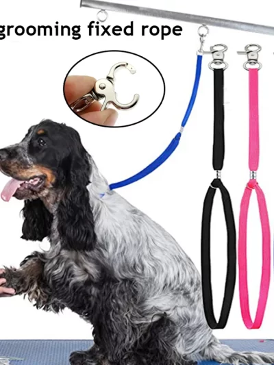 Pet Cat Harness Leash Noose Loop Lock Clip Rope For Grooming Nylon Restraint Noose Fixed Table Arm Bath Adjusted Pet Accessories